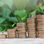 Best Investment Ideas for People with Zero Knowledge in the Stock Market